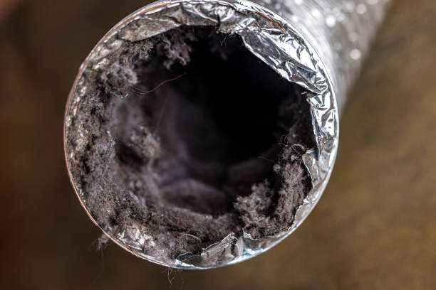 Best HVAC Air Duct Cleaning  in Greenville, MI