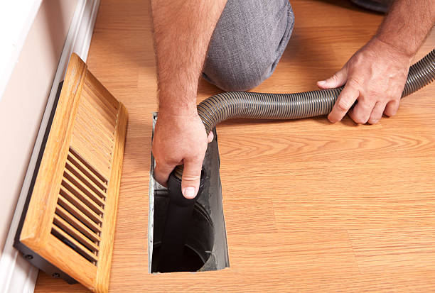 Best Air Duct Sanitizing Services  in Greenville, MI